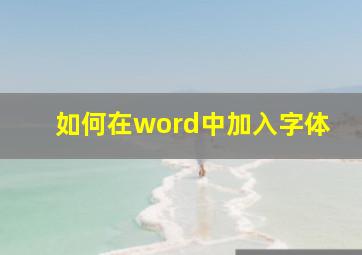 如何在word中加入字体