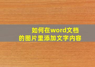 如何在word文档的图片里添加文字内容