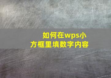 如何在wps小方框里填数字内容