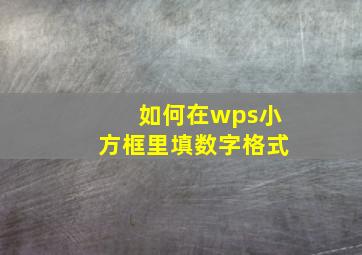 如何在wps小方框里填数字格式