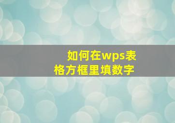 如何在wps表格方框里填数字