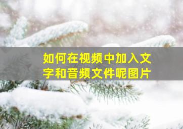 如何在视频中加入文字和音频文件呢图片