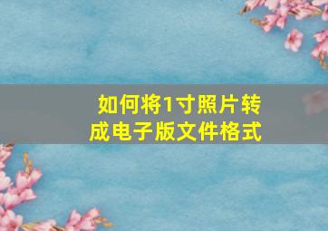 如何将1寸照片转成电子版文件格式