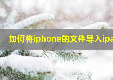 如何将iphone的文件导入ipad