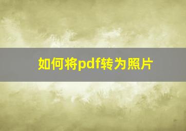 如何将pdf转为照片