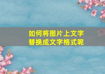 如何将图片上文字替换成文字格式呢