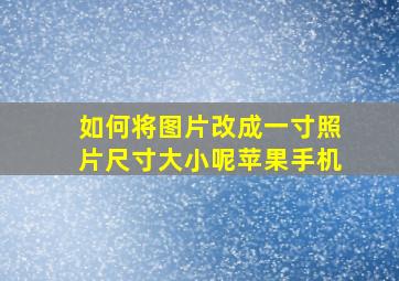 如何将图片改成一寸照片尺寸大小呢苹果手机