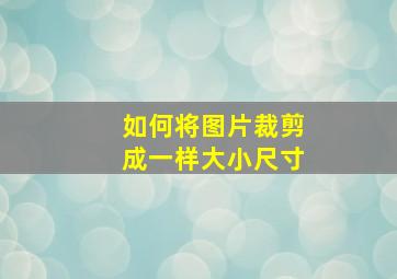 如何将图片裁剪成一样大小尺寸