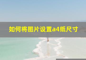 如何将图片设置a4纸尺寸