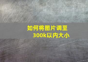 如何将图片调至300k以内大小