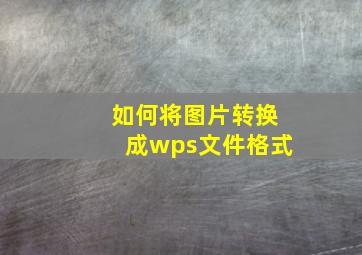 如何将图片转换成wps文件格式