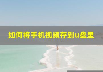 如何将手机视频存到u盘里