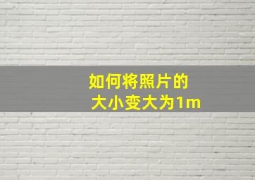 如何将照片的大小变大为1m