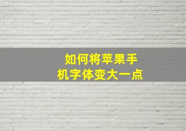 如何将苹果手机字体变大一点