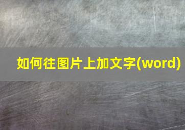 如何往图片上加文字(word)