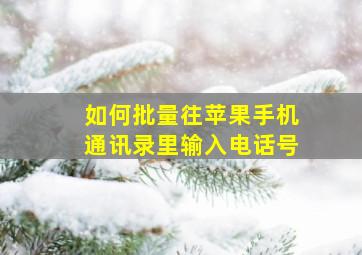 如何批量往苹果手机通讯录里输入电话号