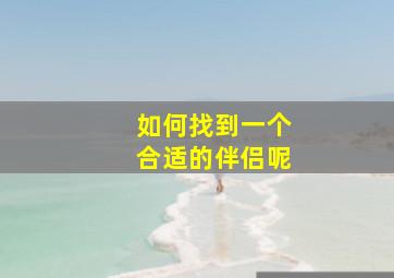 如何找到一个合适的伴侣呢