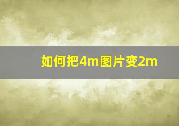 如何把4m图片变2m