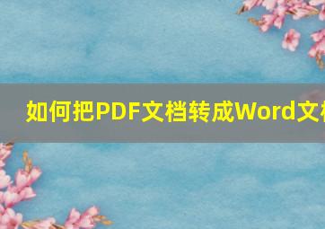 如何把PDF文档转成Word文档