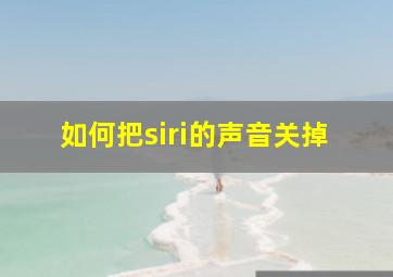 如何把siri的声音关掉