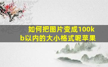 如何把图片变成100kb以内的大小格式呢苹果