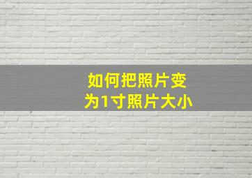 如何把照片变为1寸照片大小