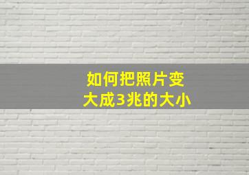 如何把照片变大成3兆的大小