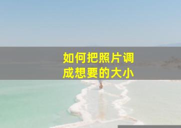 如何把照片调成想要的大小