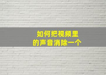 如何把视频里的声音消除一个