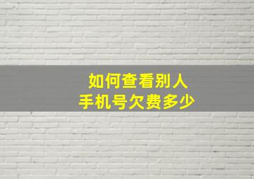 如何查看别人手机号欠费多少