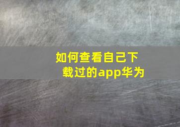 如何查看自己下载过的app华为