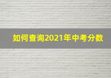 如何查询2021年中考分数