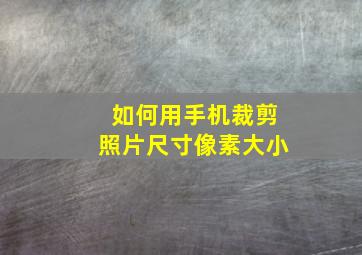 如何用手机裁剪照片尺寸像素大小