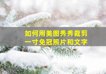 如何用美图秀秀裁剪一寸免冠照片和文字