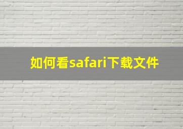 如何看safari下载文件