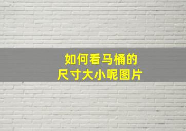 如何看马桶的尺寸大小呢图片