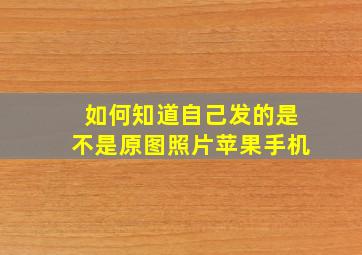 如何知道自己发的是不是原图照片苹果手机