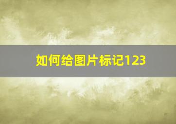 如何给图片标记123