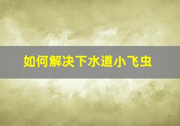 如何解决下水道小飞虫