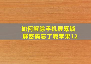 如何解除手机屏幕锁屏密码忘了呢苹果12