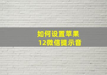 如何设置苹果12微信提示音