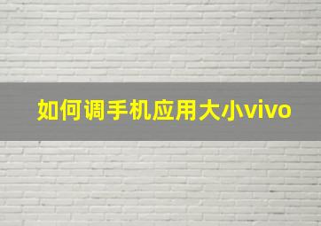 如何调手机应用大小vivo