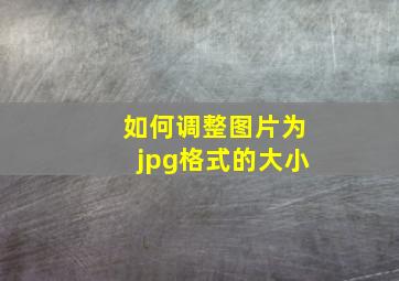 如何调整图片为jpg格式的大小