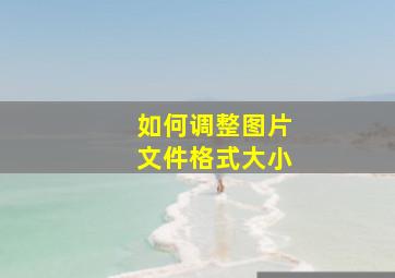 如何调整图片文件格式大小