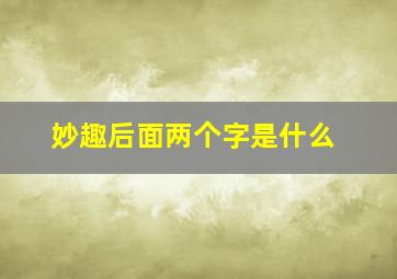 妙趣后面两个字是什么