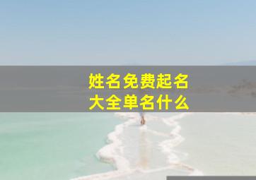 姓名免费起名大全单名什么