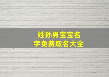 姓孙男宝宝名字免费取名大全