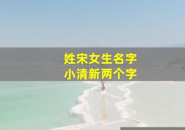 姓宋女生名字小清新两个字