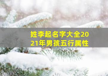 姓李起名字大全2021年男孩五行属性