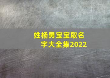 姓杨男宝宝取名字大全集2022